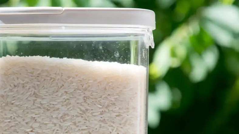 Essential Factors to Consider When Storing Rice in Your Pantry