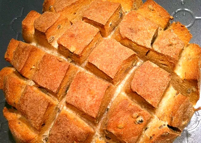 Ezekiel Bread I