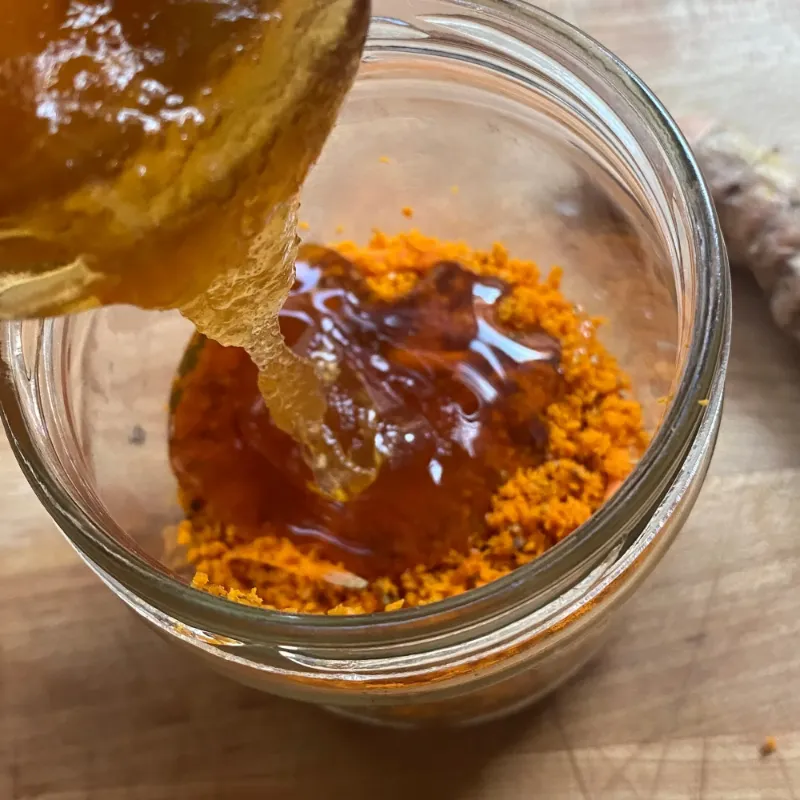 Fermented Turmeric