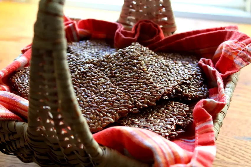 15 Easy Homemade Crackers for Perfect Snacking Flax Seed Crackers
