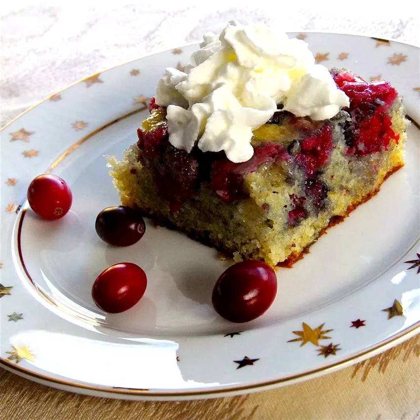 15 Festive Cranberry Cakes Perfect for Holiday Baking Fresh Cranberry Cake
