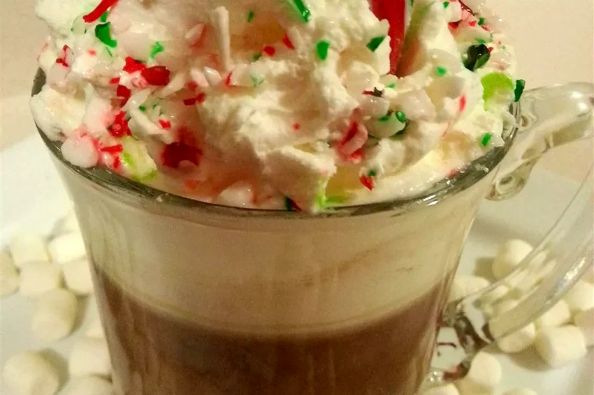 20 Cozy Hot Chocolate Recipes for Cold Winter Nights Frozen Hot Chocolate