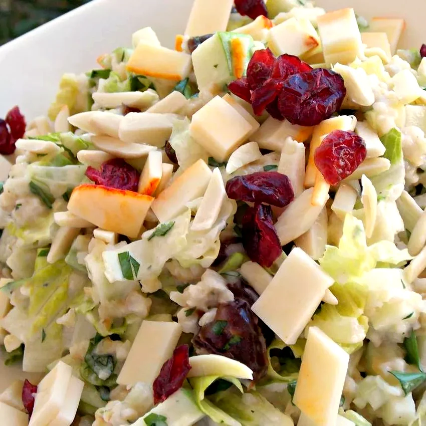 17 Plain Yogurt Recipes That Maximize Its Amazing Potential GG