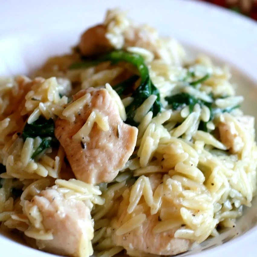 Garlic Chicken with Orzo Noodles