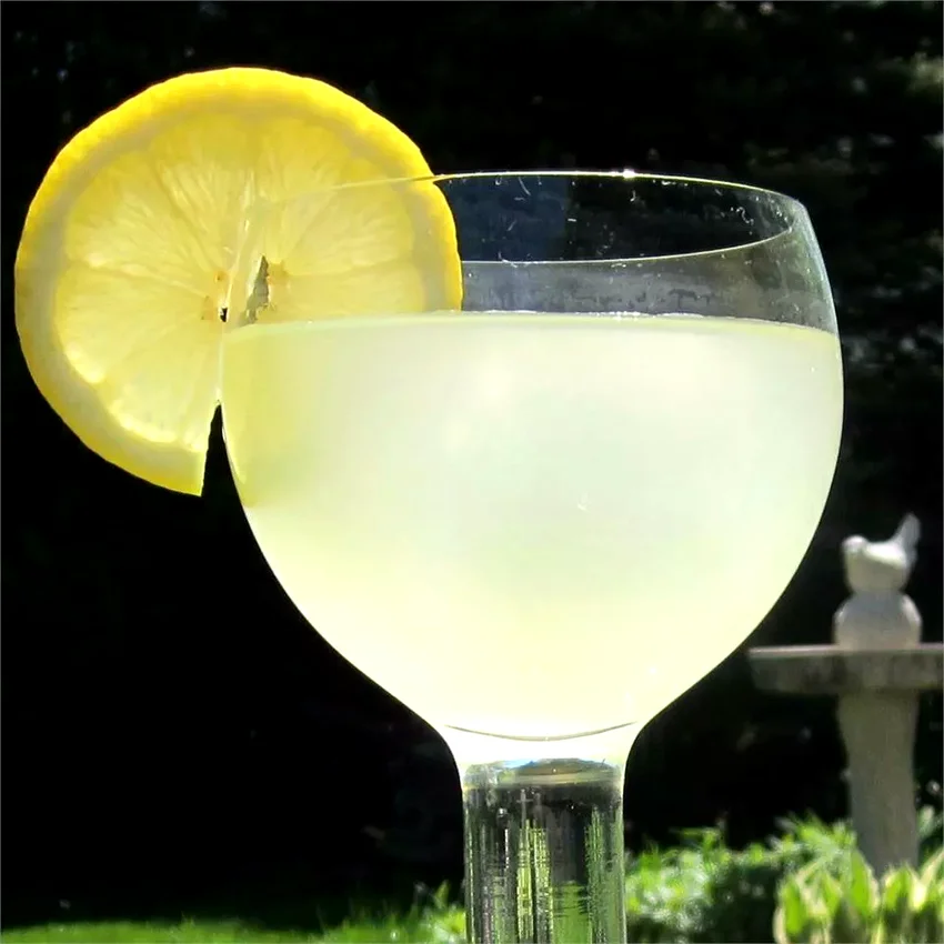 28 Thirst-Quenching Lemonade Recipes for Summer Sipping Ginger Lemonade