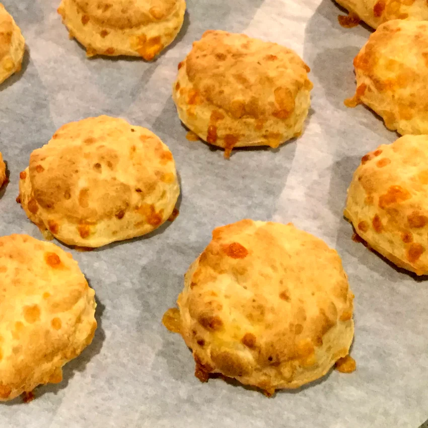25 Scratch-Made Biscuit Recipes for Home Bakers Greek Yogurt Biscuits