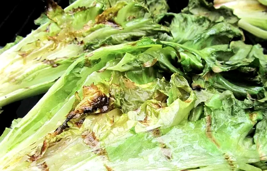 Grilled Escarole