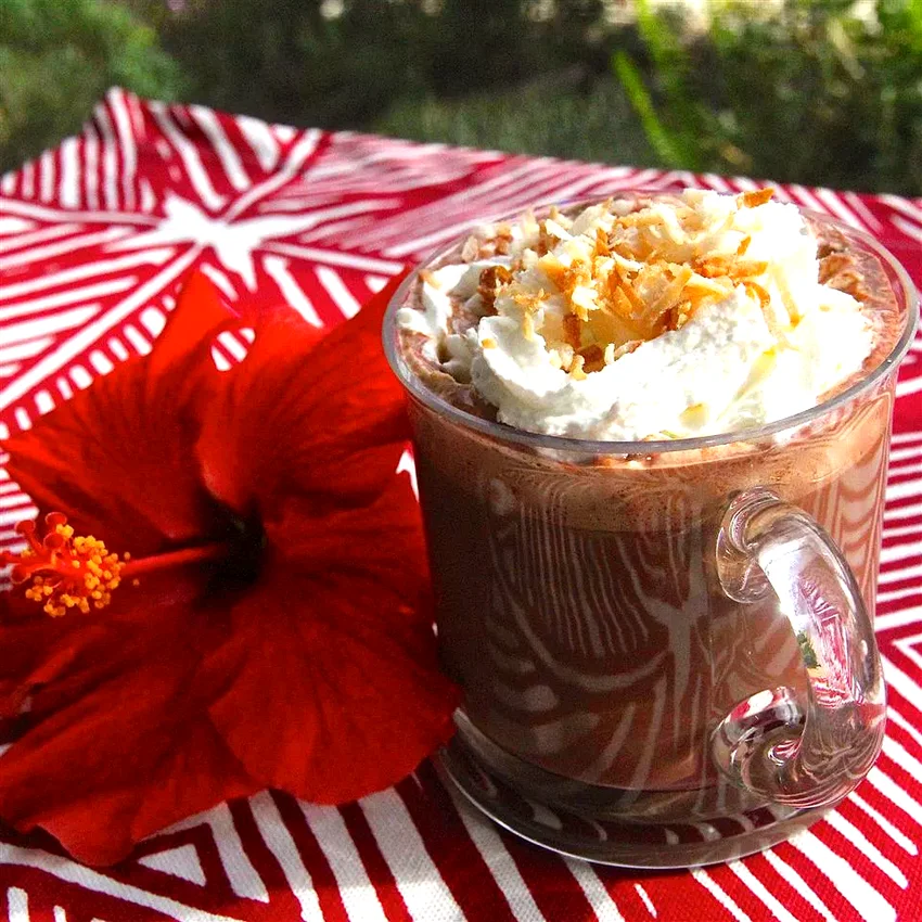 20 Cozy Hot Chocolate Recipes for Cold Winter Nights Hawaiian Hot Chocolate
