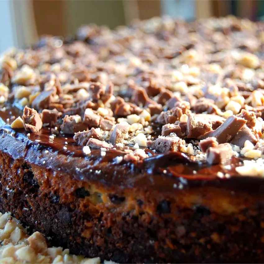 Hazelnut and Chipped Chocolate Cheesecake