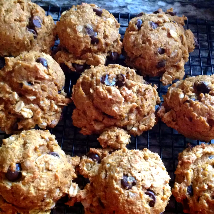 20 Amazing Dairy-Free Dessert Recipes for Every Craving Healthy Vegan Pumpkin Oat Chocolate Chip Cookies