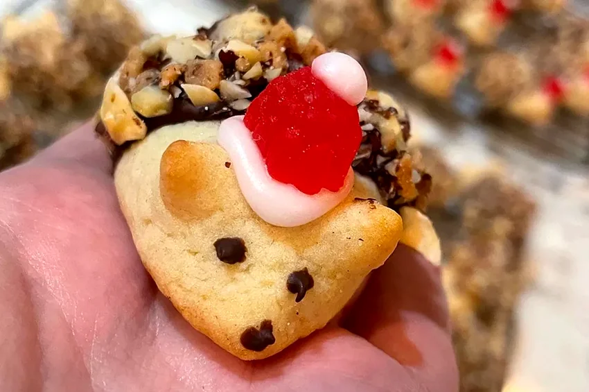 Hedgehog Cookies