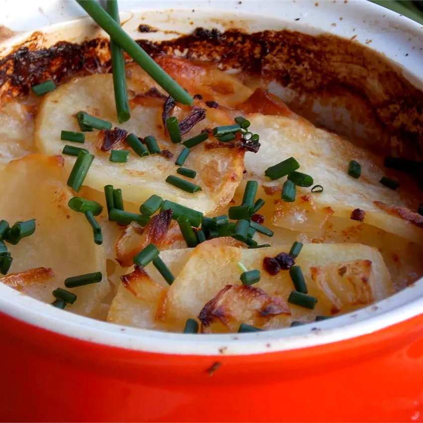 15 Easy Chicken Broth Recipe Ideas for Delicious Meals Herbed Scalloped Potatoes and Onions