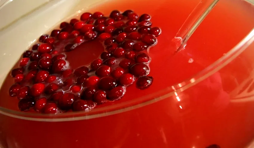 23 Festive Holiday Drinks Without Alcohol for Everyone Holiday Punch II