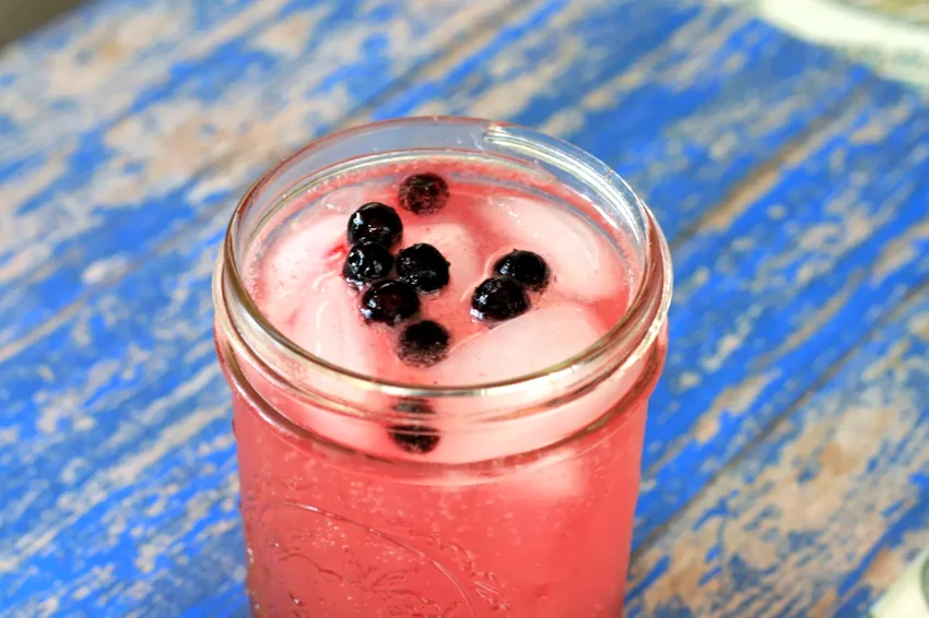 15 Delicious Apple Cider Vinegar Cooking Ideas Homemade Kombucha, aka Fauxbucha