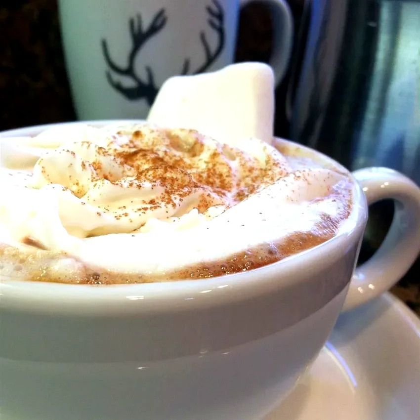 31 Amazing Recipes for Warm Homemade Hot Chocolate Homestyle Hot Cocoa