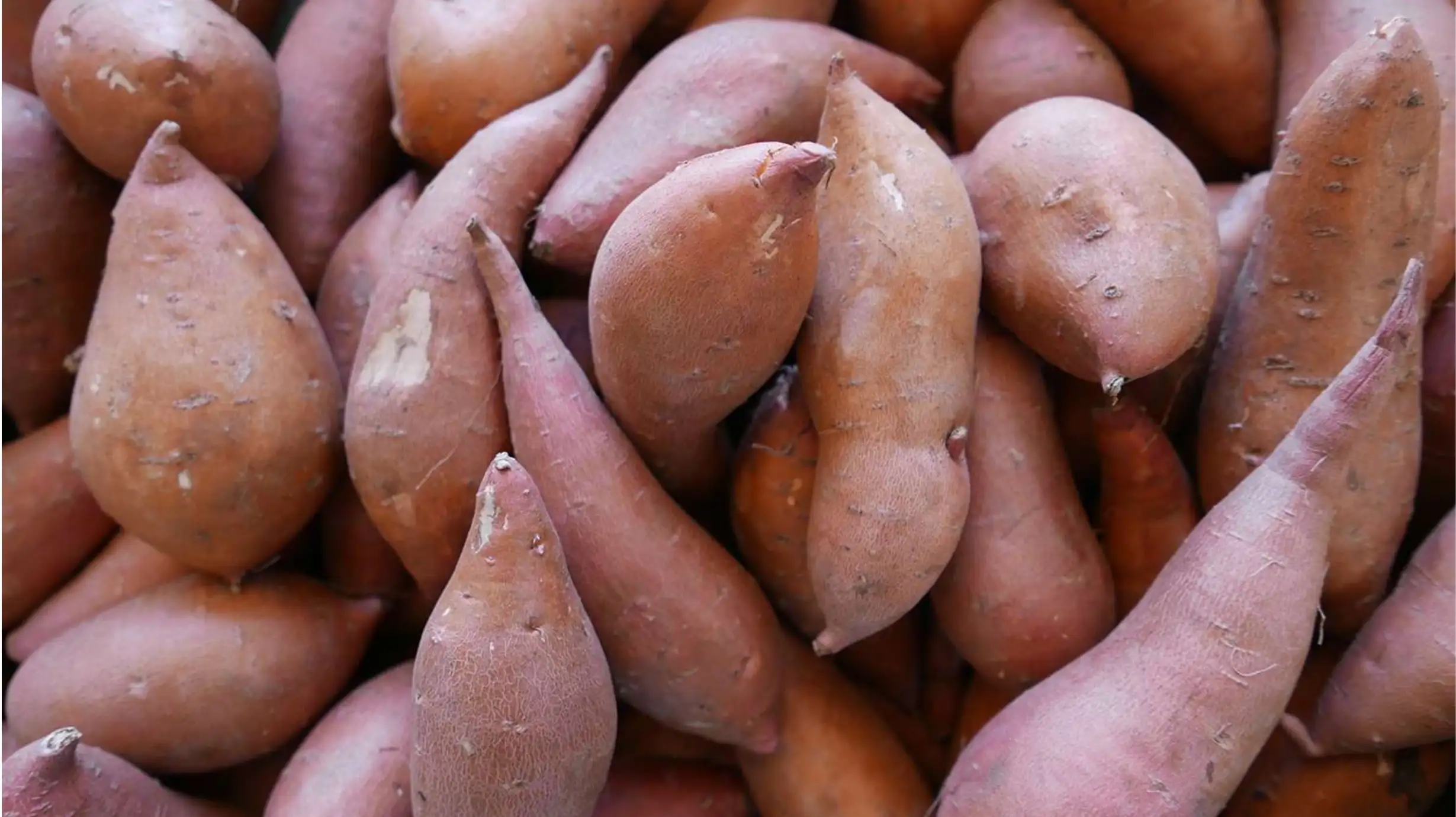How Long Does Sweet Potato Last In Pantry