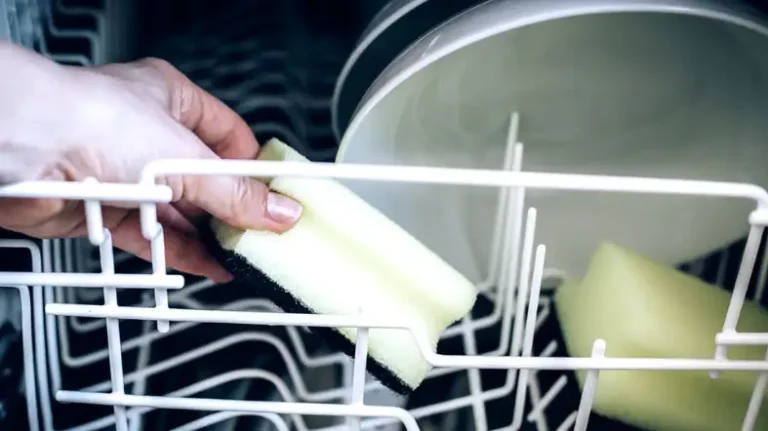 How Often Do You Change The Sponge In The Dishwasher?
