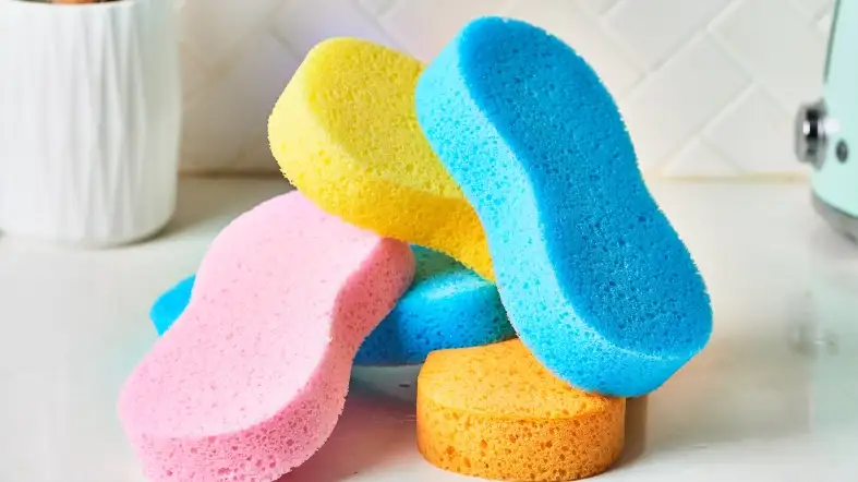 How To Properly Store Your Dishwasher Sponge To Avoid Bacteria Growth