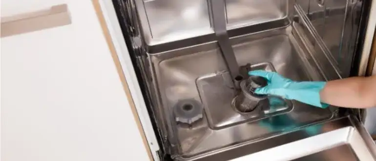 How to Clean Mold from Dishwasher