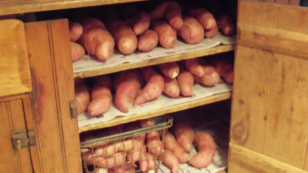 How to Store Sweet Potatoes in the Pantry