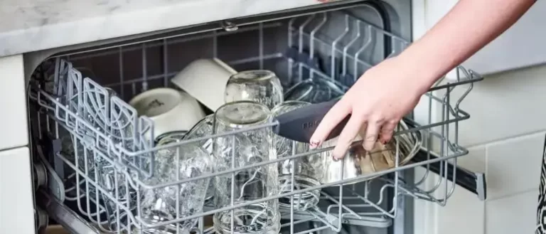 How To Clean Mold From The Dishwasher?