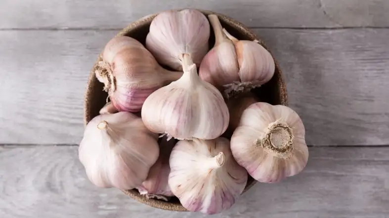 How to properly store garlic in the pantry