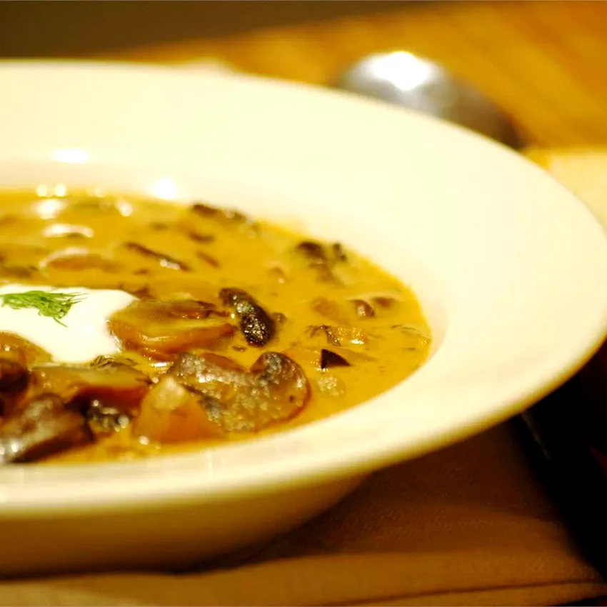 20 Top Fall Soup Recipes for Cozy Seasonal Comfort Hungarian Mushroom Soup