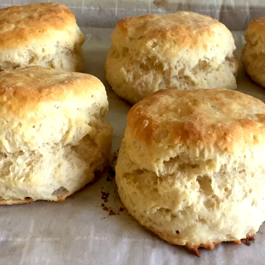 25 Scratch-Made Biscuit Recipes for Home Bakers J.P.