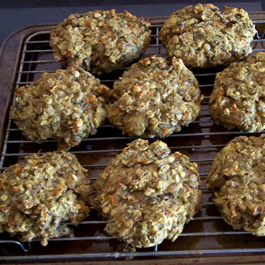 10 Plant-Based Lentil Patty Recipes for Hearty Meals Jalapeño Lentil Burgers