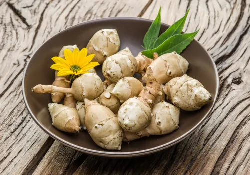 Jerusalem Artichokes and Chicory Root