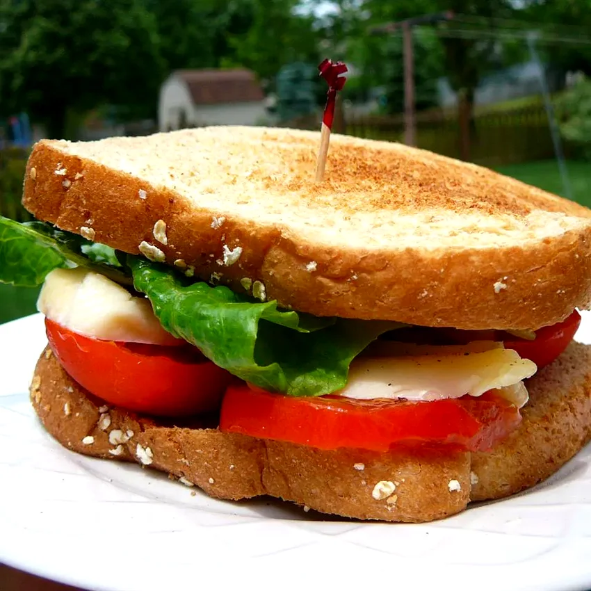 12 Fresh Tomato Sandwich Ideas for Summer Season Kansas Tomato Sandwich