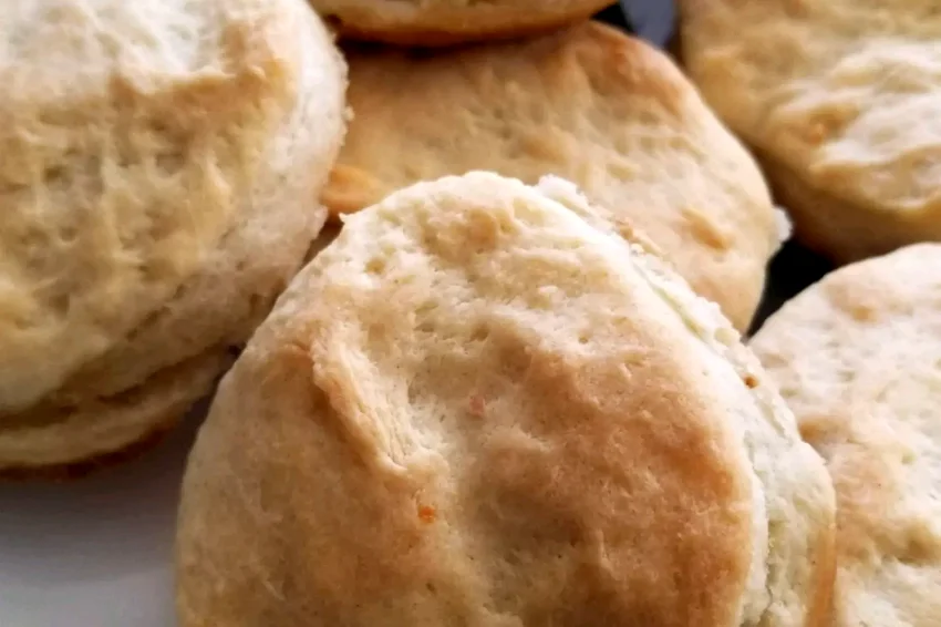 25 Scratch-Made Biscuit Recipes for Home Bakers Kentucky Biscuits