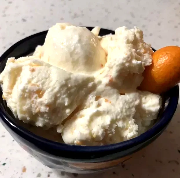 10 Amazing Kumquat Dishes to Make This Cold Season Kumquat Ice Cream