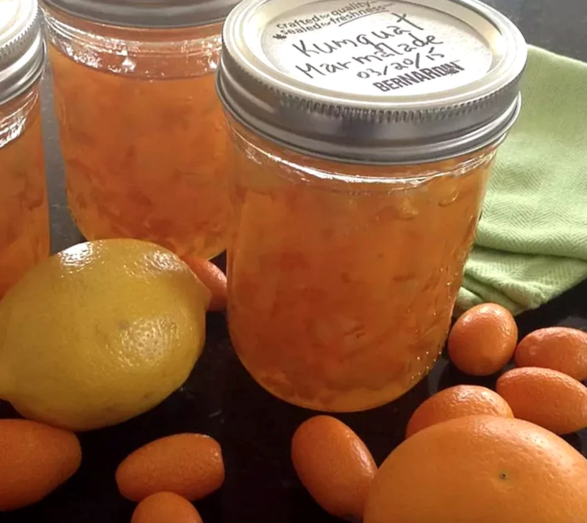 10 Amazing Kumquat Dishes to Make This Cold Season Kumquat-Orange Marmalade