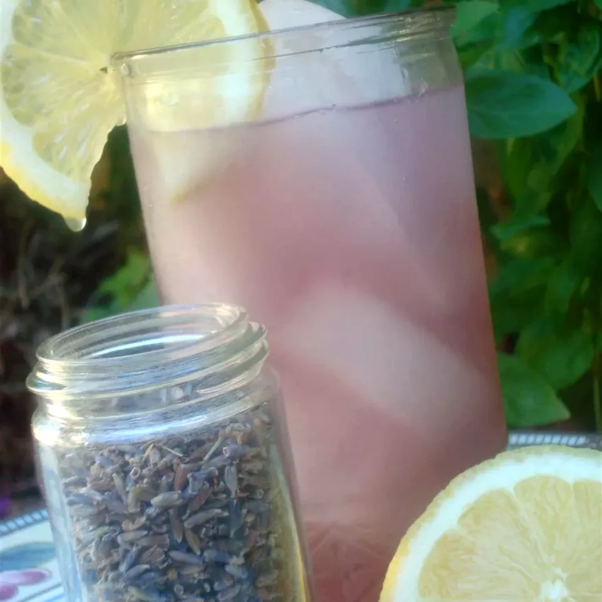 28 Thirst-Quenching Lemonade Recipes for Summer Sipping Lavender Lemonade