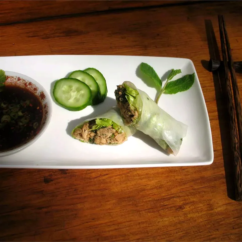 Lemon Grass and Chicken Summer Rolls