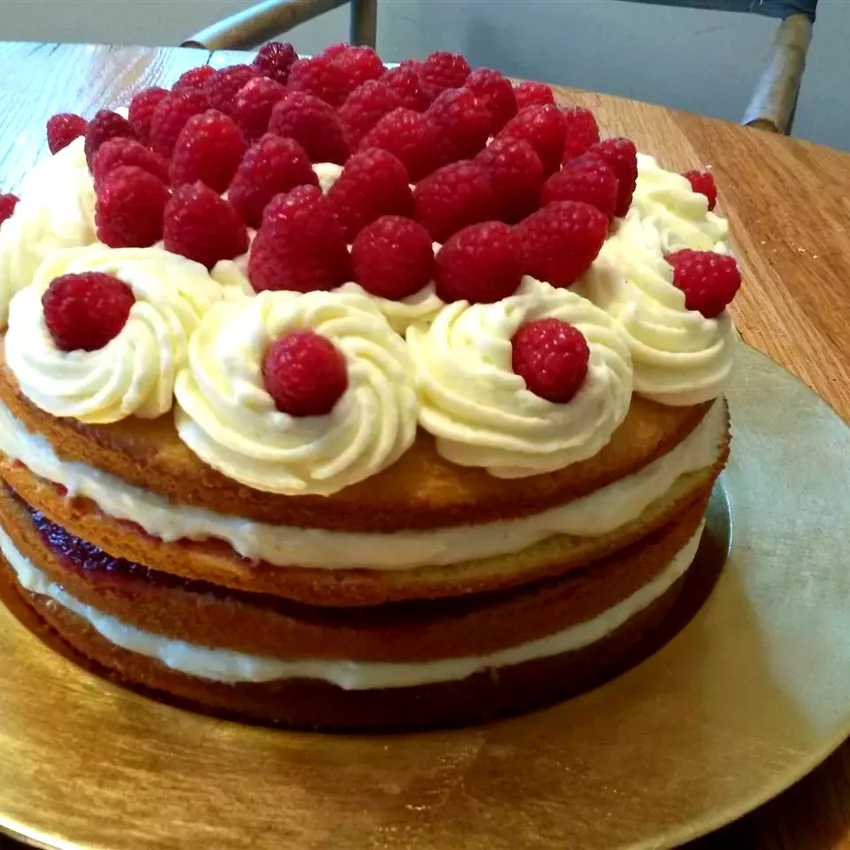 9 Rich Chocolate Mousse Cake Ideas Lemon Raspberry White Chocolate Mousse Cake