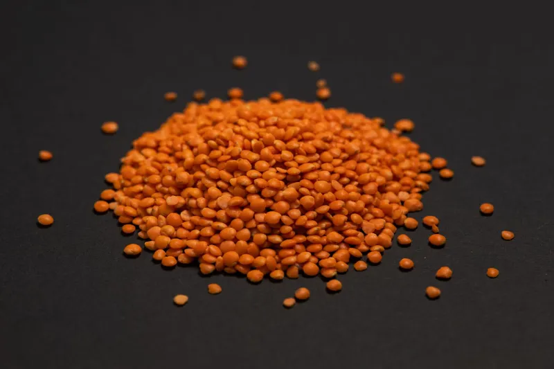 Lentils 1