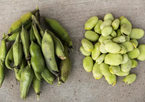 Lima beans