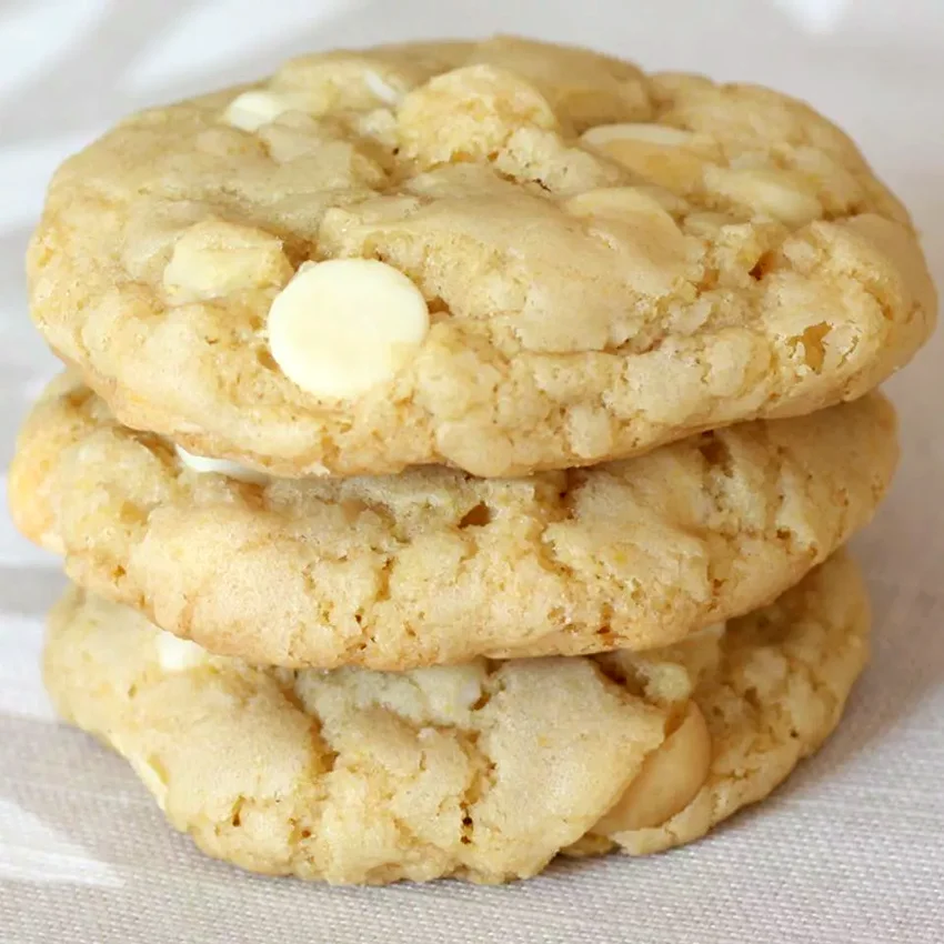 Top 25 Chocolate Chip Cookie Recipes for Every Occasion Macadamia Nut Chocolate Chip Cookies