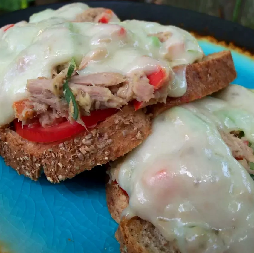 13 Simple and Nutritious Hummus Recipe Ideas Mayo-Free Tuna Sandwich Filling