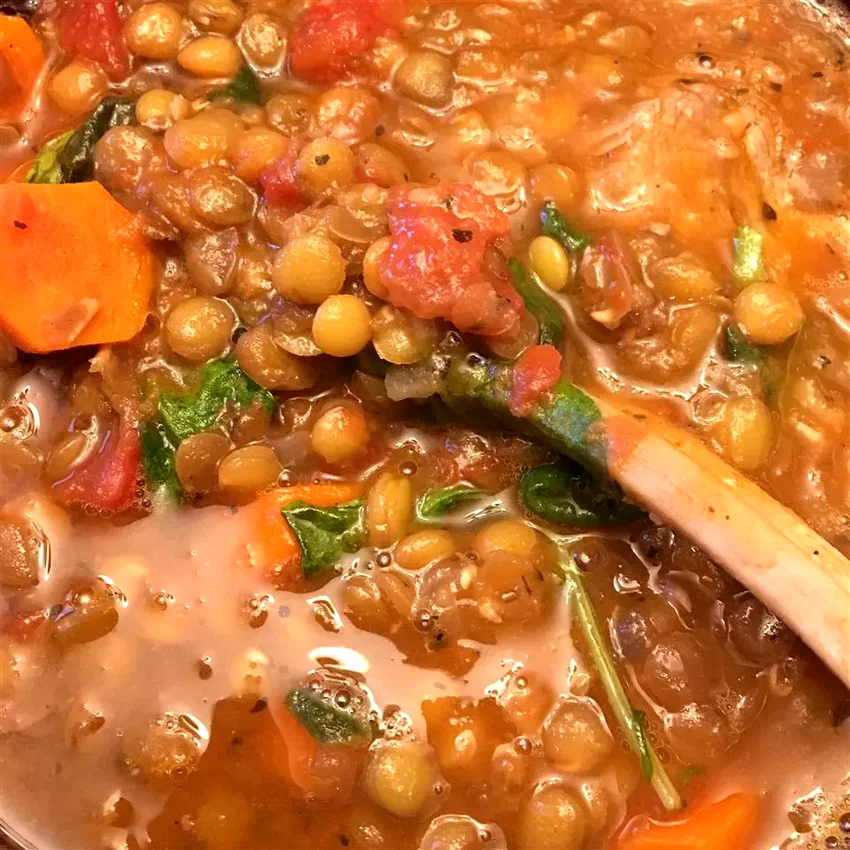 17 Tender Lamb Shoulder Recipe Ideas for Every Season Mediterranean Lamb and Lentil Stew