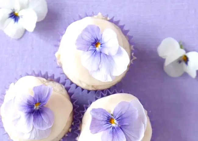 9 Incredible and Zesty Passion Fruit Recipe Ideas Mini Coconut Cupcakes with Passion Fruit Icing