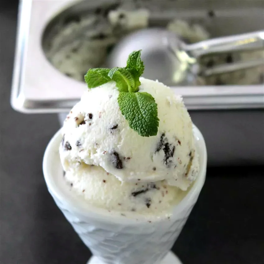 20 Amazing Dairy-Free Dessert Recipes for Every Craving Mint-Chip Coconut Milk Ice Cream