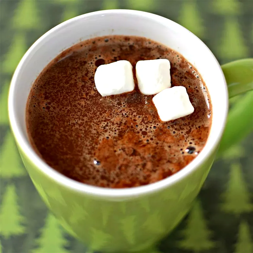 20 Cozy Hot Chocolate Recipes for Cold Winter Nights Minty Eggnog Hot Chocolate