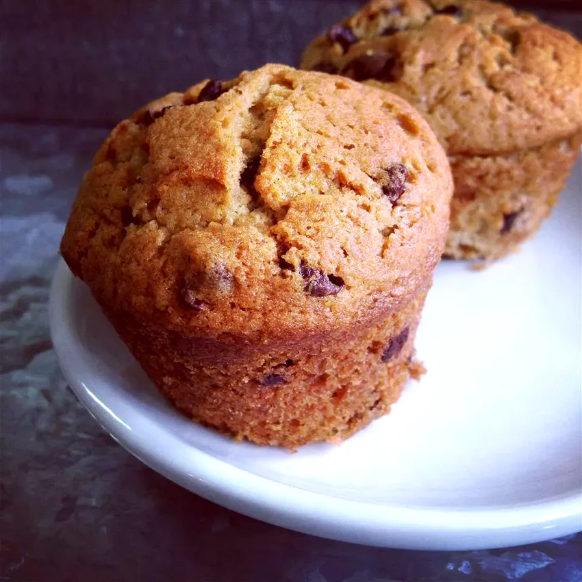 15 Amazing Instant Coffee Recipe Ideas for Home Cooks Mocha Chocolate Chip Banana Muffins