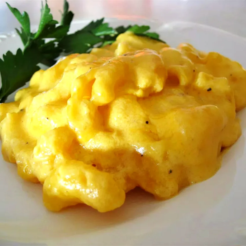 Top 10 Ultimate Homemade Mac and Cheese Recipe Collection Mouse
