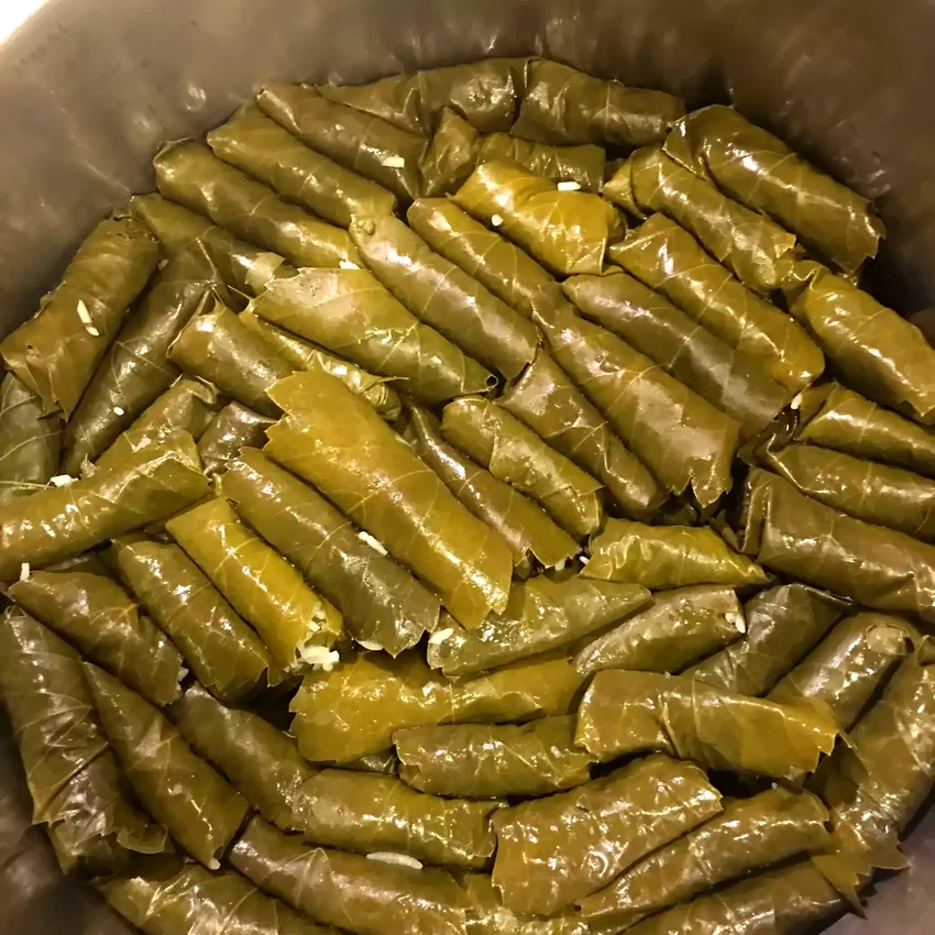 My Own Famous Stuffed Grape Leaves