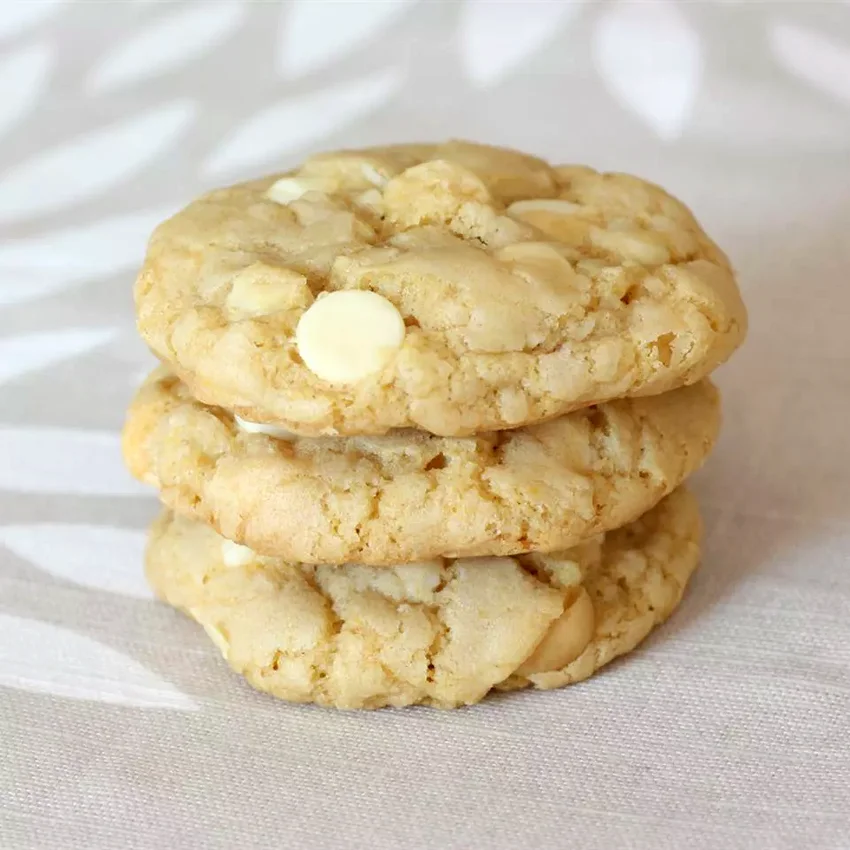 17 Simple No-Bake Cookie Recipes for Kids to Make No Bake Macadamia Nut Cookies