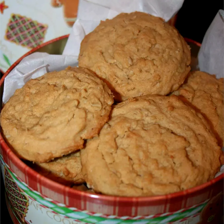 Oatmeal Peanut Butter Cookies